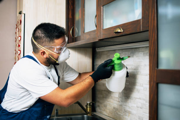 Best Mosquito Control Services  in Kingstown, MD