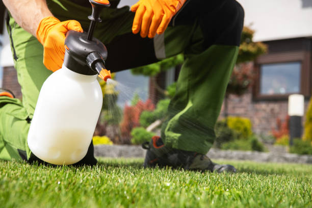 Best Flea Control Services  in Kingstown, MD