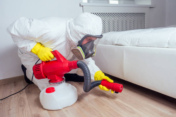 Best Local Pest Control Services  in Kingstown, MD