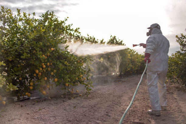 Best Affordable Pest Control Services  in Kingstown, MD