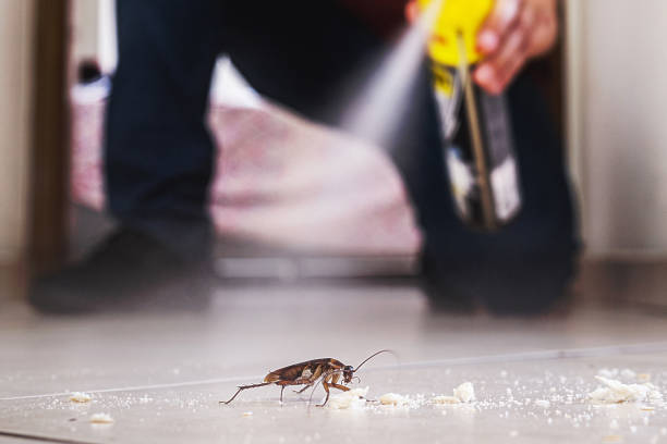 Pest Control Cost in Kingstown, MD