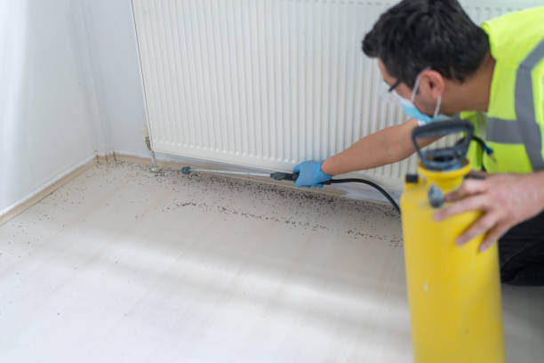 Best Mosquito Control Services  in Kingstown, MD