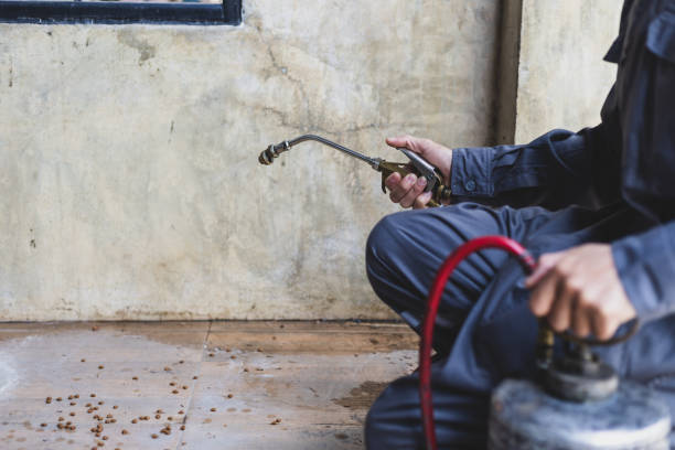 Best Emergency Pest Control  in Kingstown, MD