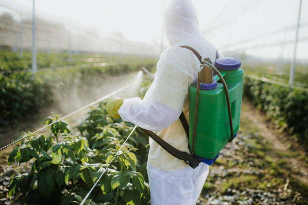 Best Ant Control Services  in Kingstown, MD